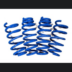 AST Suspension Lowering Springs (40mm/40mm) - 1979-1986 Alfa Romeo Coupe 2.0 4CYL/V6 (119) main image 1